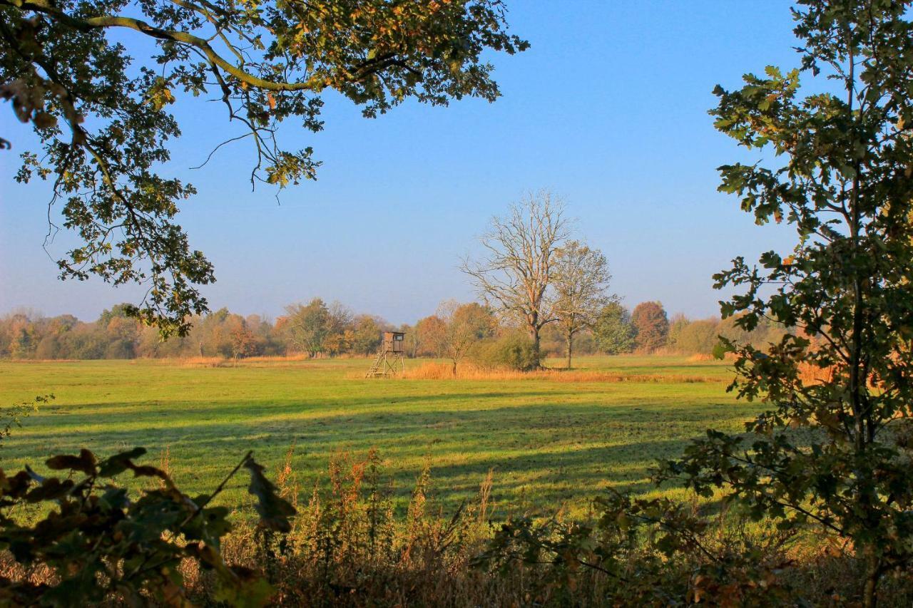 An Der Hainmuehle Lubben Exterior photo